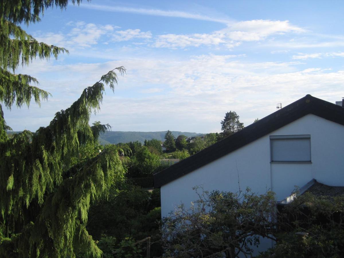 Haus Am Weinberg Apartman Erzingen Kültér fotó