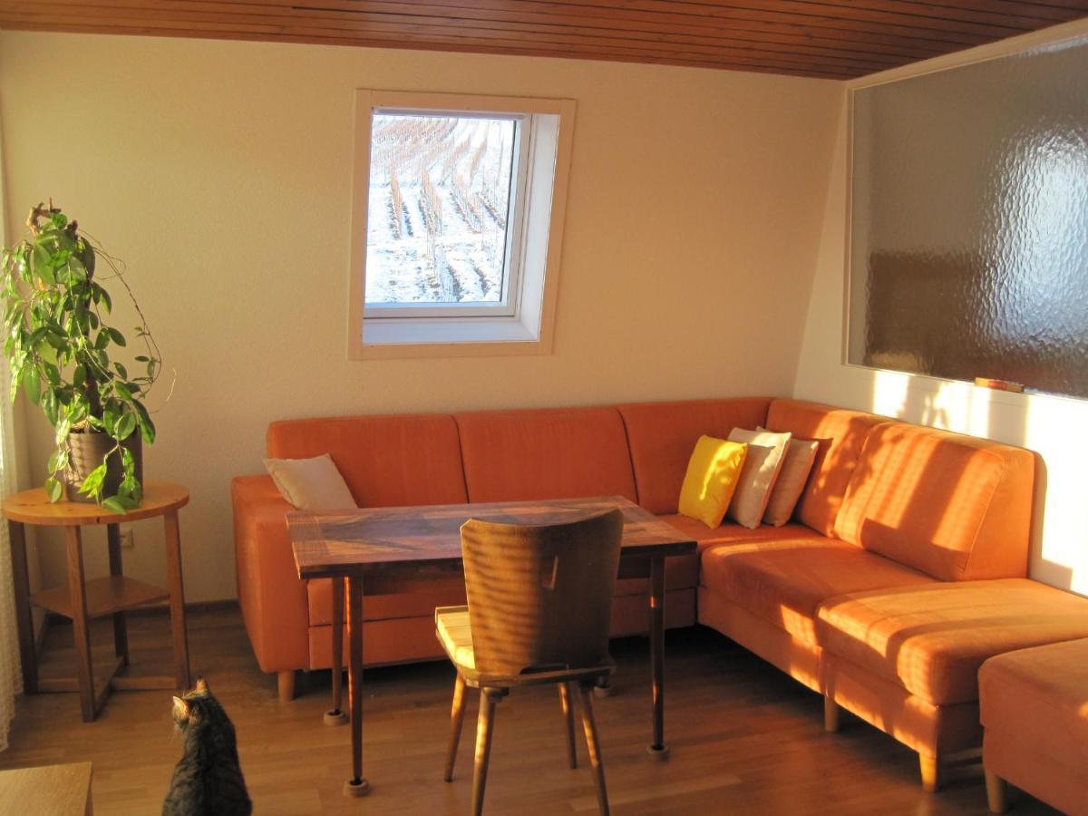 Haus Am Weinberg Apartman Erzingen Kültér fotó