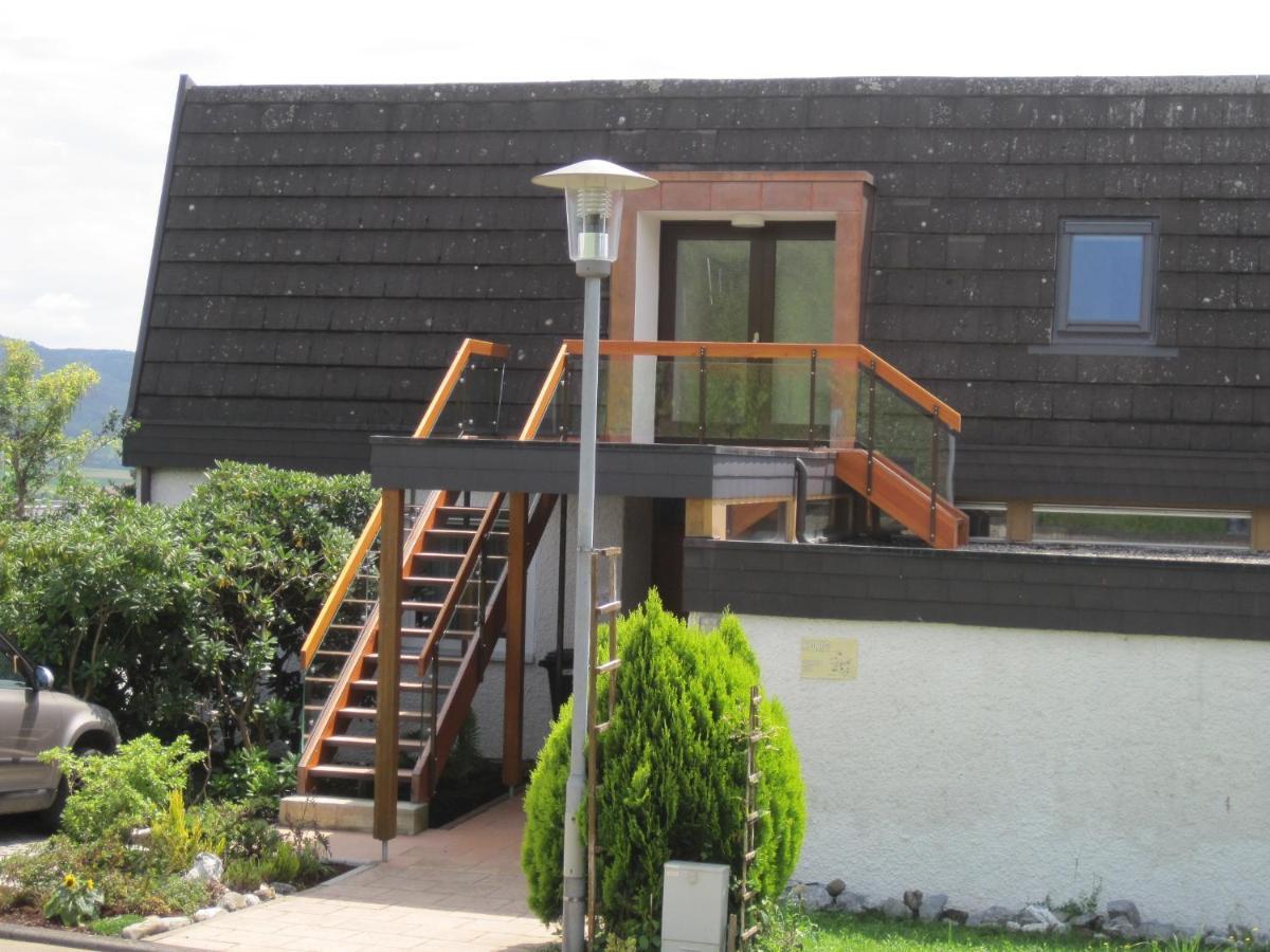 Haus Am Weinberg Apartman Erzingen Kültér fotó