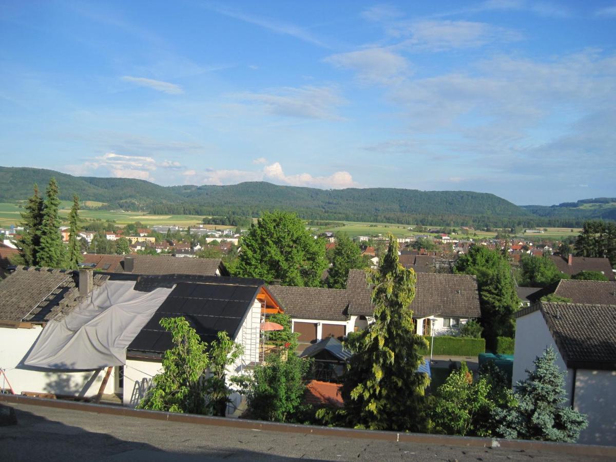 Haus Am Weinberg Apartman Erzingen Kültér fotó